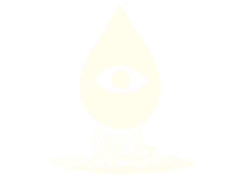 Soluciones basadas en la naturaleza